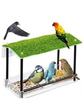 Window Bird Feeder Outdoor Strong Suction Cup Water Drain Transparent Viewing